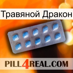 Травяной Дракон viagra3